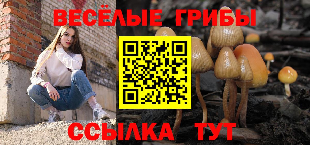 Галлюциногенные грибы мицелий Нижний Новгород