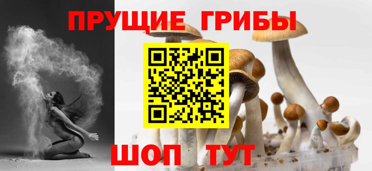 Псилоцибиновые грибы мухоморы  Псилоцибиновые грибы GOLDEN TEACHER  Нижний Новгород  Вход с VPN 